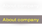 About company