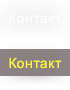 Контакт